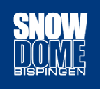 snow-dome